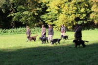 /album/flatcoat-zuchtruede/dummytraining-mit-thano-keller-10-13-1-kopie-jpg/